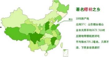 最新国产区,探索国产电影的新时代篇章