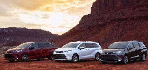 国产19p,引领科技潮流的创新之作